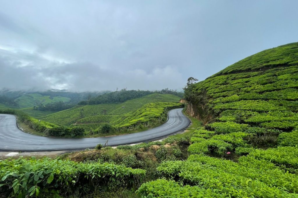 Hire a Cab to Munnar from Bangalore | Best Car Rental Service from 'Bangalore Ride'